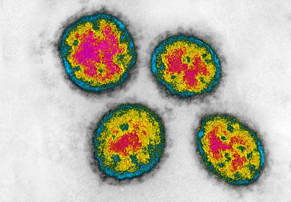 Animal Virology